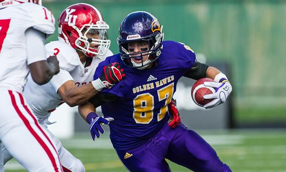 Freeman's late score lifts Hawks over Lions