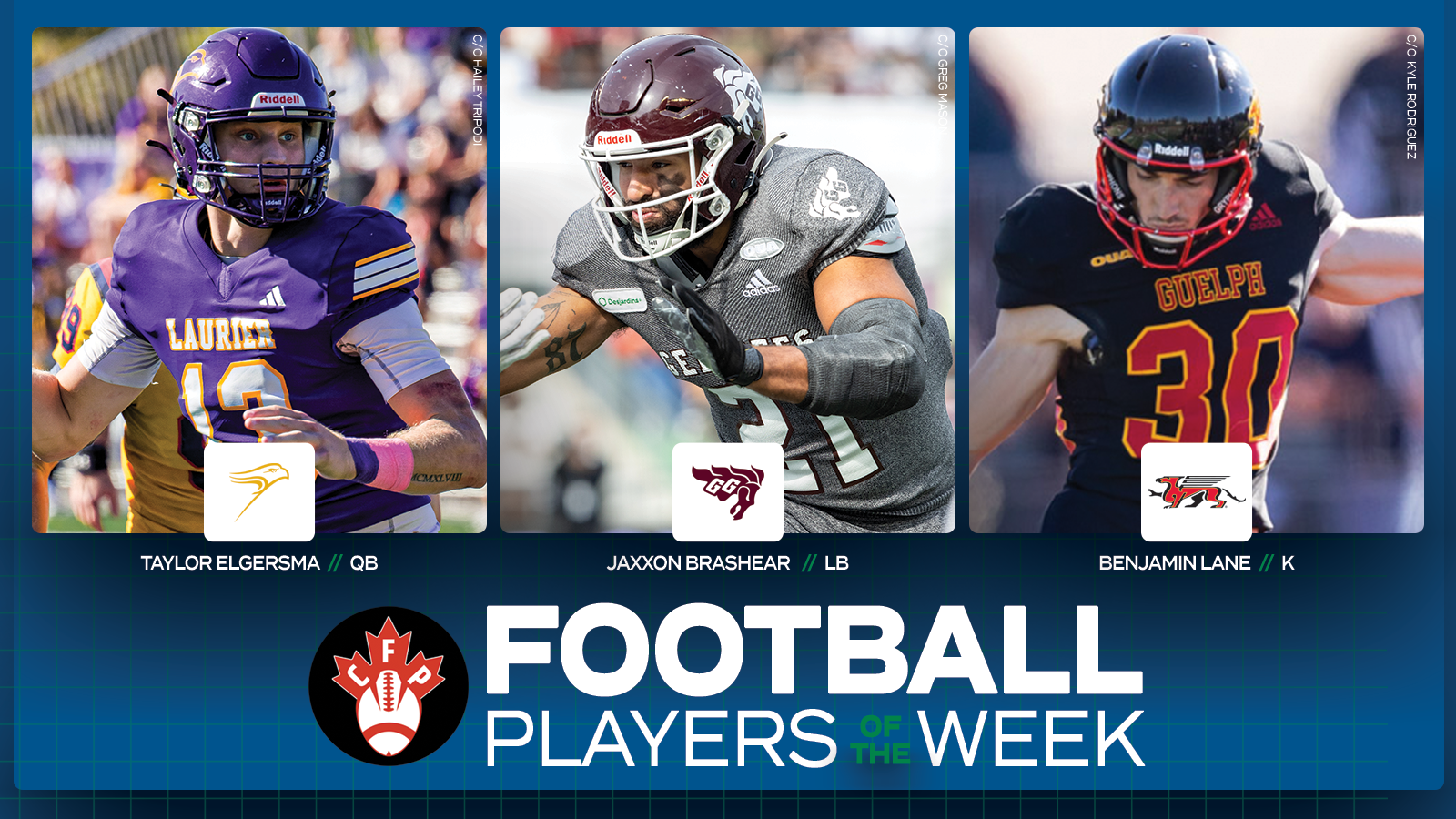Graphic on predominantly blue background featuring an action photo of Wilfrid Laurier’s Taylor Elgersma, Ottawa Gee-Gees Jaxxon Brashear, Guelph Gryphons Benjamin Lane with their name, school, and position placed below the photo, along with the Canadian Football Perspective logo and large white 'Football Player of the Week' text in the lower third.  All three players have their position placed above their photo.