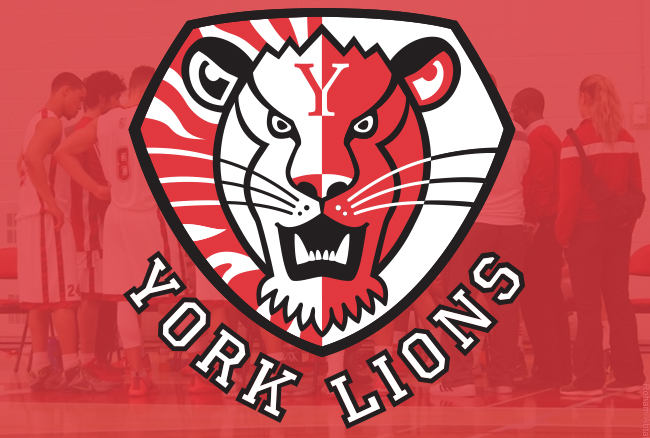 York men's basketball forfeits three wins due to an eligibility violation