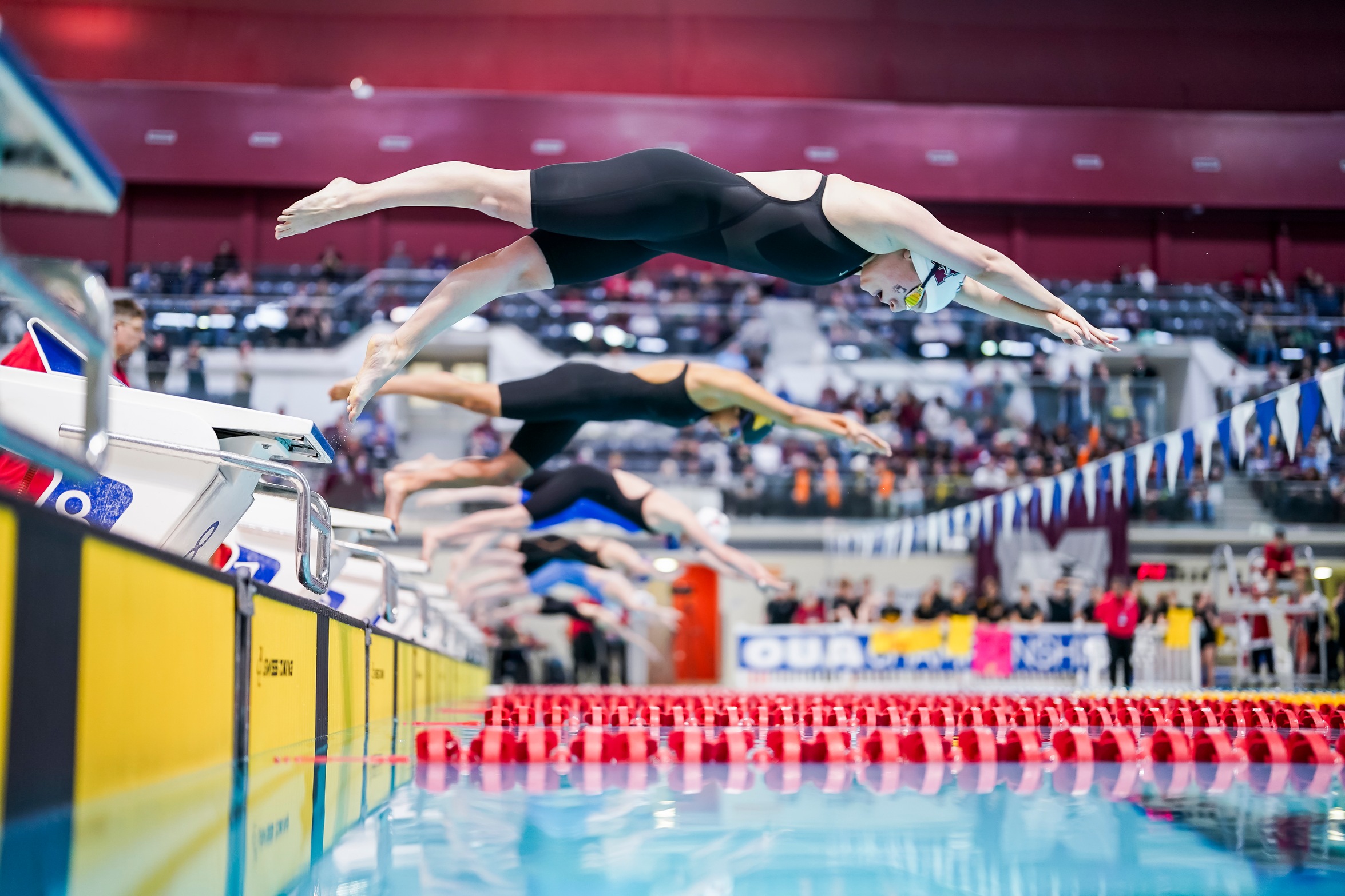 Action photo of women's swimmers jumping into the pool 