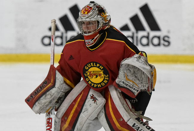 OUA announces 2015-16 Women's Hockey Major Awards and All-Stars