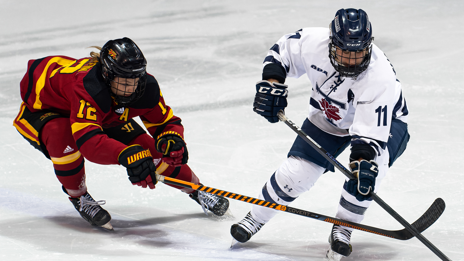 Action photo featuring a Guelph women's hockey player extending her stick trying to steal the puck from a Toronto player during a game