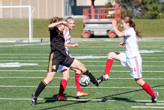 Offensive first half paves way for slim Gryphons victory over Warriors